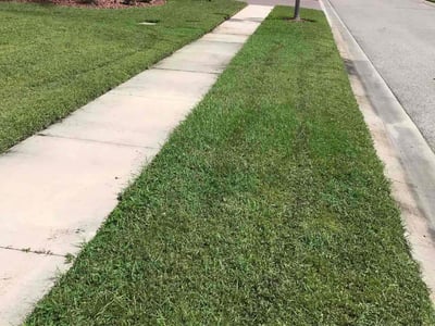 Lawn Care service in Redding, 96001