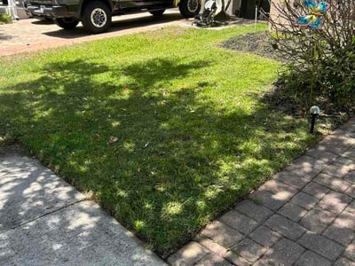 Lawn Care service in Maitland, 32751