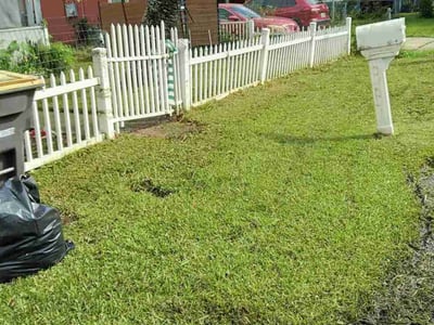 Lawn Care service in Redding, 96001