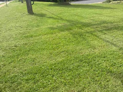 Lawn Care service in Ruther Glen, 22546
