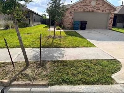 Lawn Care service in Bellaire, 77401