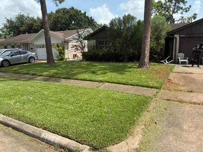 Lawn Care service in Tomball, 77375