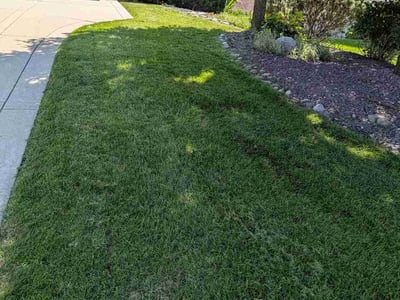 Lawn Care service in Bloomington, 61701
