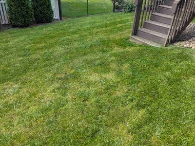 Lawn Care service in Bloomington, 61701