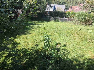 Lawn Care service in West Mifflin, 15122