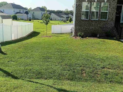 Lawn Care service in Kernersville, 27284
