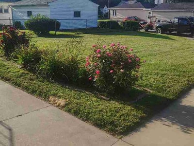 Lawn Care service in Cedar Falls, 50613