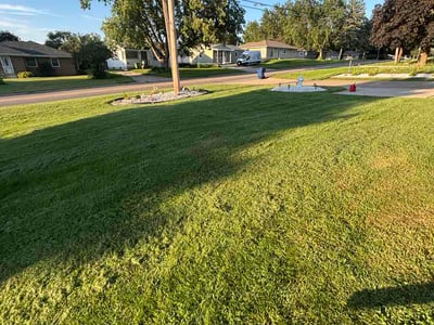 Lawn Care service in Cedar Falls, 50613
