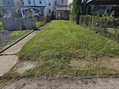 Lawn Care service in West Chester, 19380