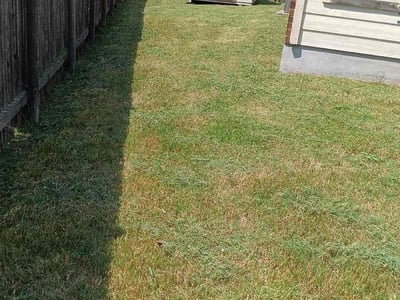 Lawn Care service in Battle Ground, 98604