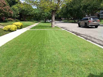 Lawn Care service in Watauga, 76148