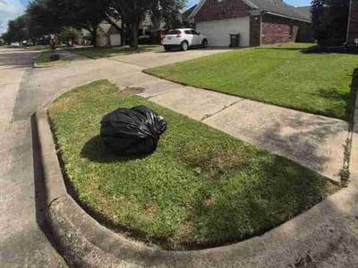 Lawn Care service in Pasadena, 77506