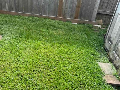 Lawn Care service in Pasadena, 77506