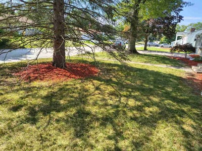 Lawn Care service in Attleboro, 02703