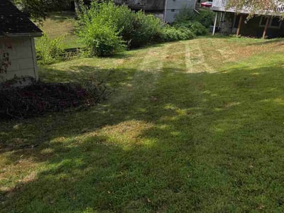 Lawn Care service in Hudson, 54016