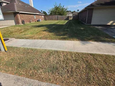 Lawn Care service in Spring, 77373