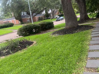 Lawn Care service in Missouri City, 77459