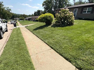 Lawn Care service in Council Bluffs, 51501