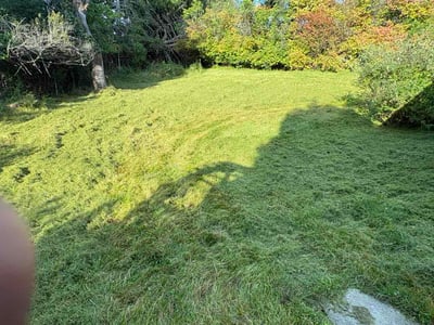Lawn Care service in Murrysville, 15668