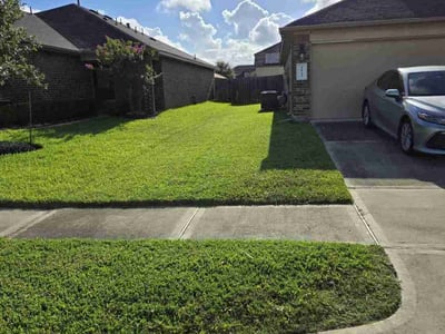 Lawn Care service in Fresno, 77545