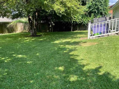 Lawn Care service in Willis, 77378