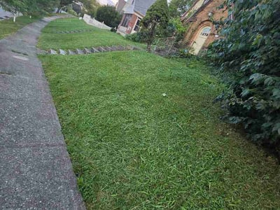 Lawn Care service in Hightstown, 08520