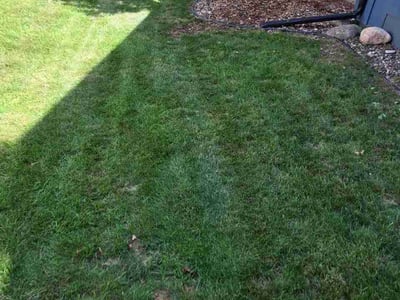 Lawn Care service in Saint Cloud, 56301