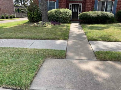 Lawn Care service in Willis, 77378