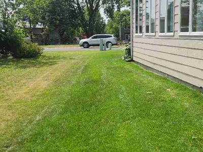 Lawn Care service in Savage, 55378