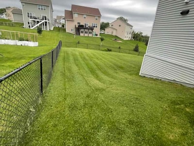 Lawn Care service in Savage, 55378