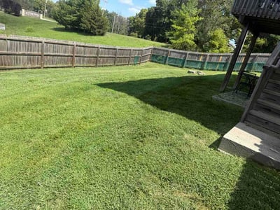 Lawn Care service in Paola, 66071