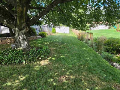 Lawn Care service in Denver, 17517