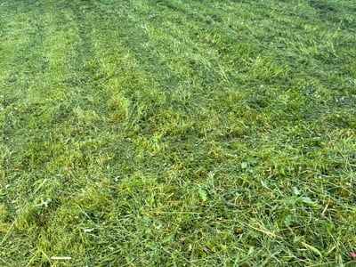 Lawn Care service in Fall River, 02720