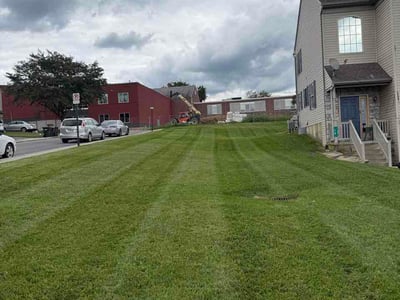 Lawn Care service in Denver, 17517