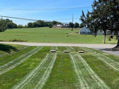 Lawn Care service in Denver, 17517