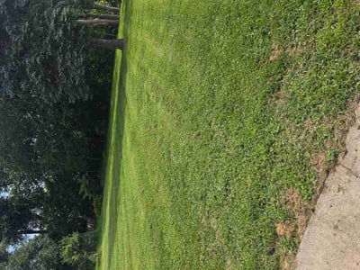 Lawn Care service in Fall River, 02720