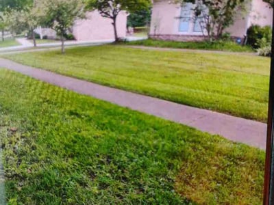 Lawn Care service in Bethel Park, 15102