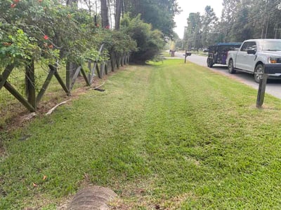 Lawn Care service in Alvin, 77511