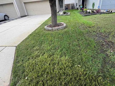 Lawn Care service in Alvin, 77511