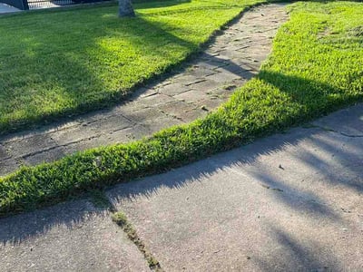 Lawn Care service in Winnie, 77665
