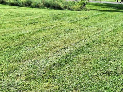 Lawn Care service in Westminster, 21157