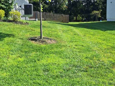 Lawn Care service in Westminster, 21157