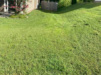 Lawn Care service in Kingston, 37763
