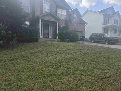 Lawn Care service in Kingston, 37763