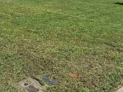Lawn Care service in Madison, 35758