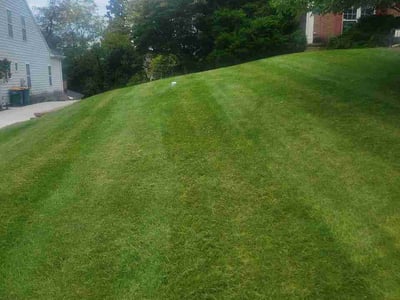 Lawn Care service in Sewickley, 15143