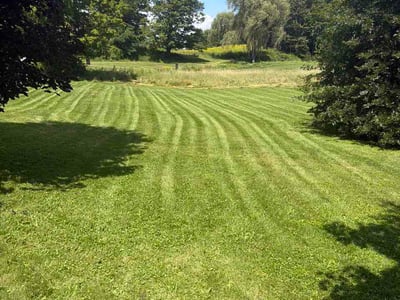 Lawn Care service in Queensbury, 12804