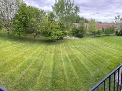 Lawn Care service in Chaska, 55318