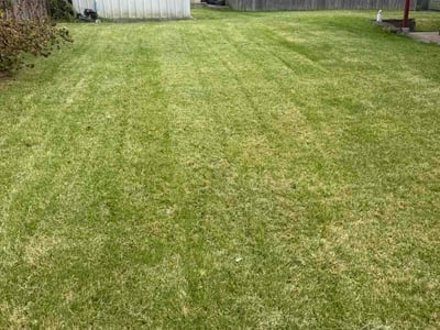 Lawn Care service in Carnegie, 15106