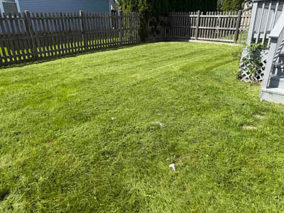 Lawn Care service in Plainfield, 60544